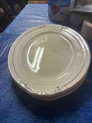 Platinum-Trimmed Fine China Dinner Plates