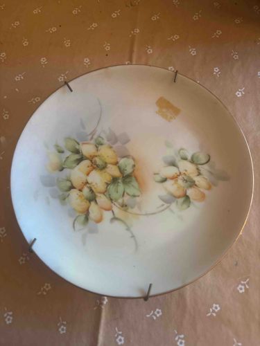 Hand-Painted Floral Decorative Porcelain Plate