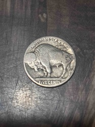 Buffalo Nickel