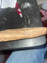 Stone Grinding Implement or Natural Rock Formation