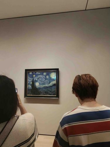The Starry Night Painting (Likely a display copy or print in a museum setting)