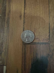 US Washington Quarter Coin