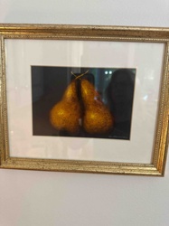 Framed Still Life Print of Two Pears