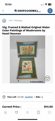 Vintage Framed & Matted Original Watercolor Paintings of Mushrooms by Hazel Nauman