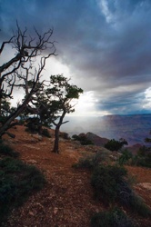 Dramatic View of Grand Canyon with Stormy Sky