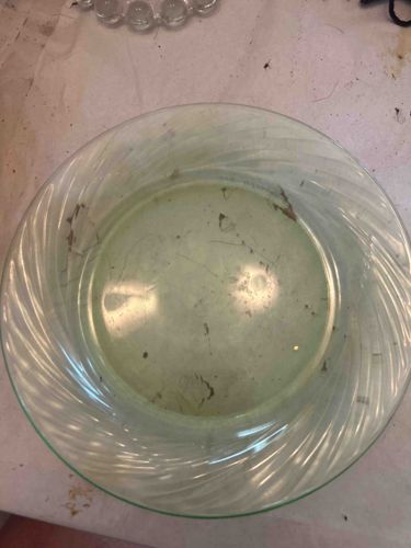 Clear Glass Dinner Plate with Swirl Rim