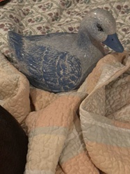 Glazed Ceramic Duck Figurine