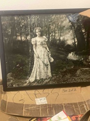 Framed 'A Day in June' Print