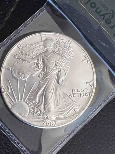 1987 American Silver Eagle Coin
