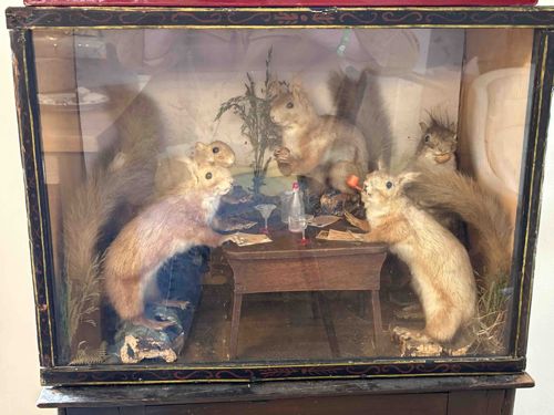 Victorian Anthropomorphic Squirrel Taxidermy Diorama