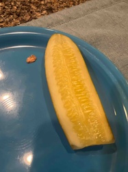 Dill Pickle Spear
