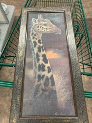 Framed Giraffe Print by Rana