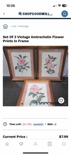 Set Of 3 Vintage Amtrechslin Flower Prints In Frame