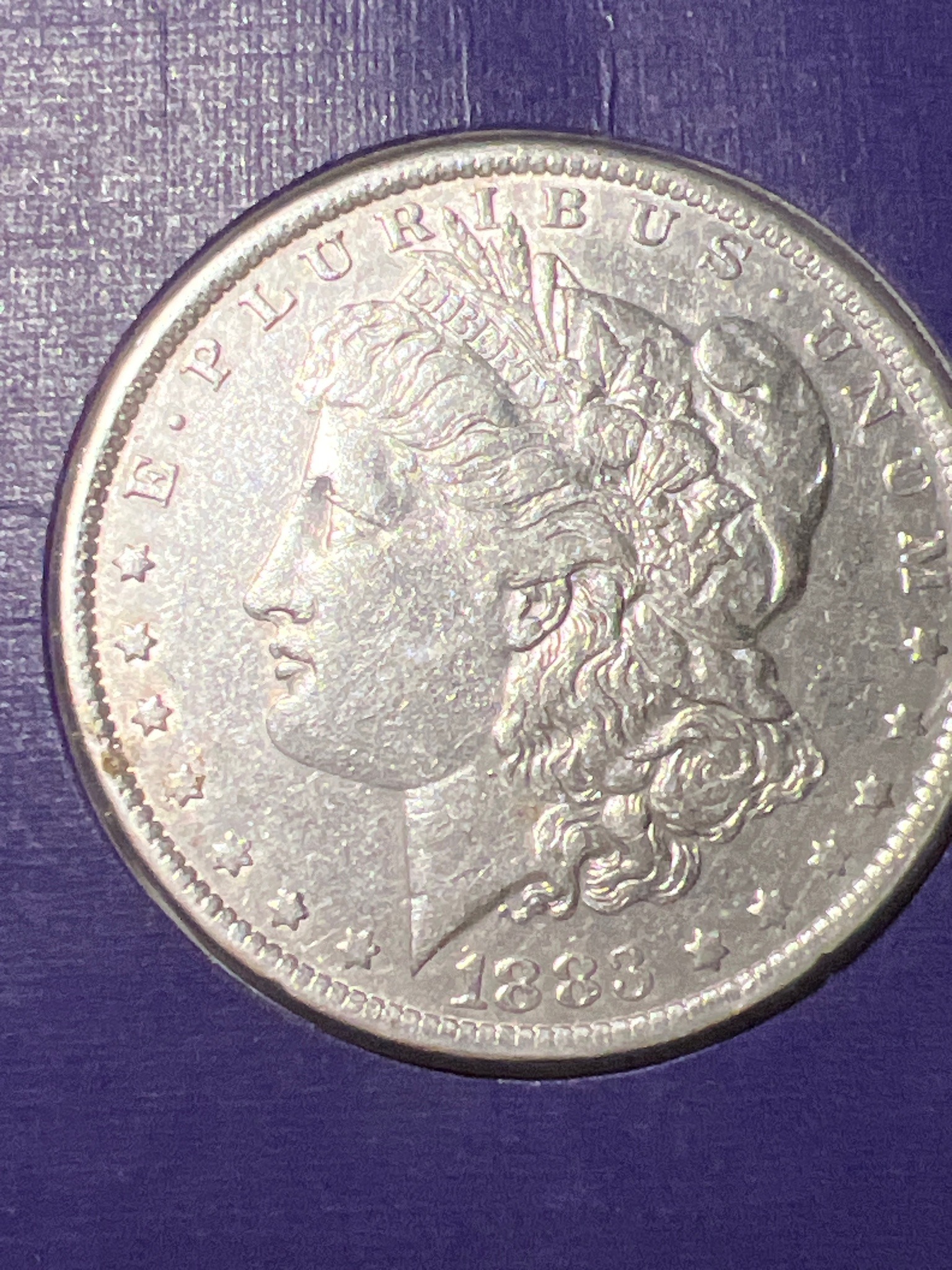 Submitted photo of 1883 Morgan Silver Dollar (not authenticated)