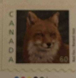 Canadian Red Fox Postage Stamp
