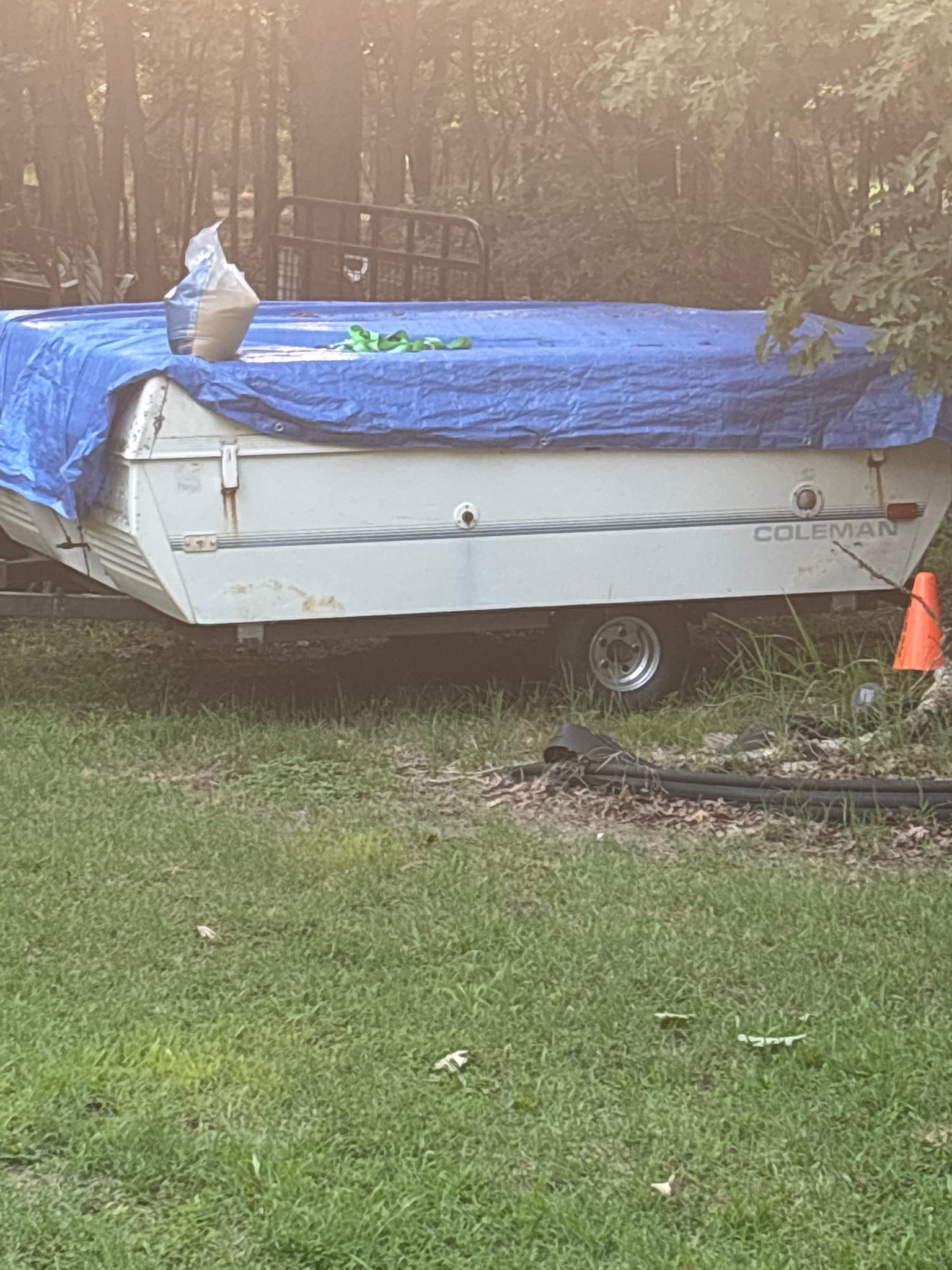 Submitted item photo