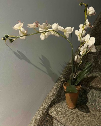 Artificial White Phalaenopsis Orchid Arrangement in Terracotta Pot