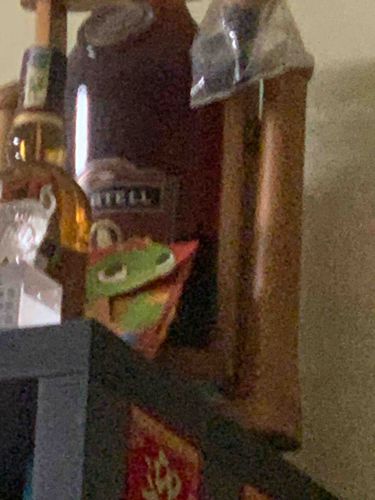 Kermit the Frog Foldable Hand Puppet/Paper Craft