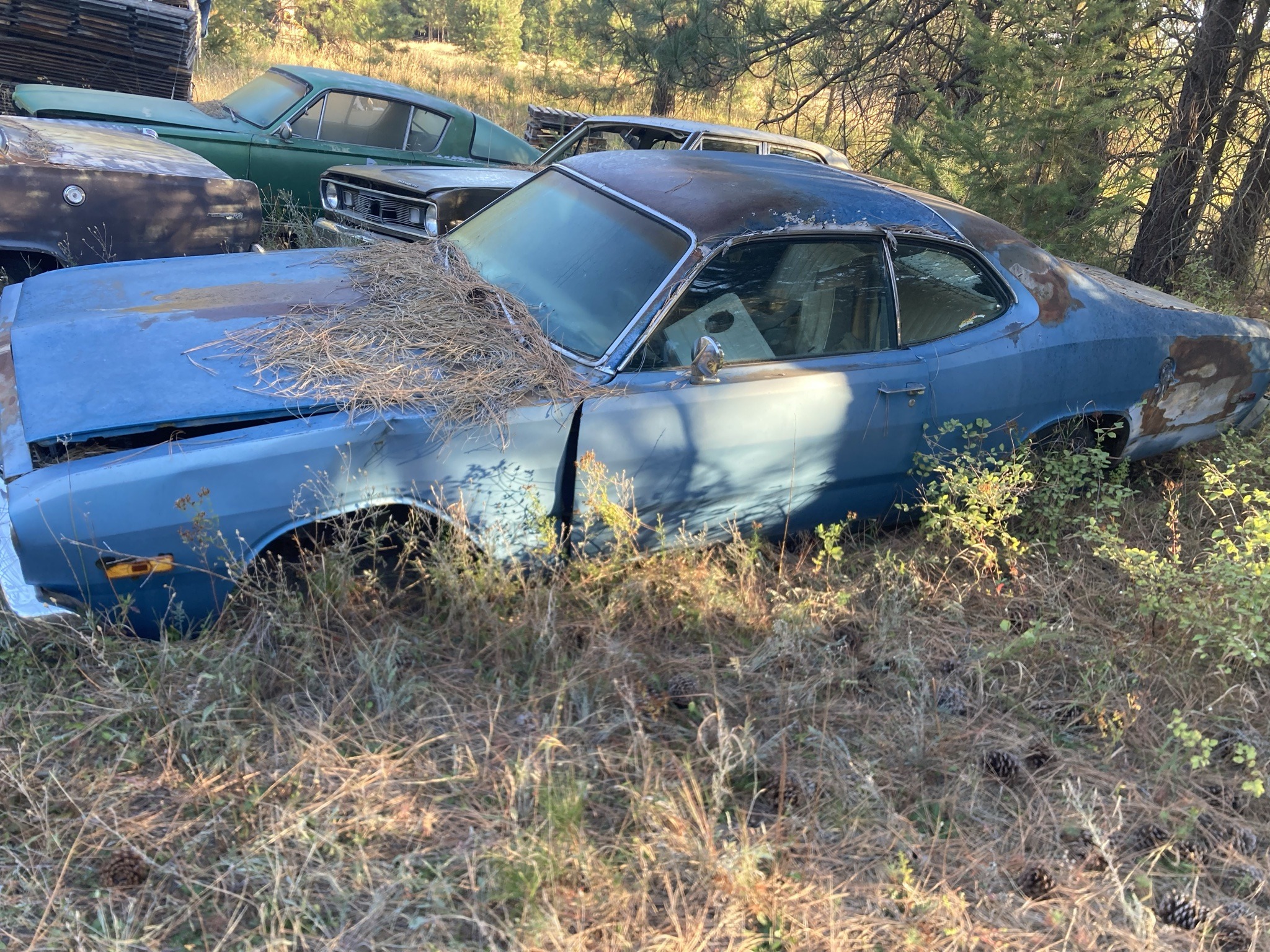 Submitted photo of Plymouth Duster (not authenticated)