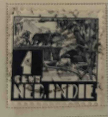 Nederlandsch-Indie 1 Cent Postage Stamp