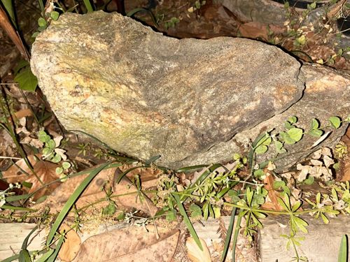 Fieldstone Specimen with Crystalline Inclusions