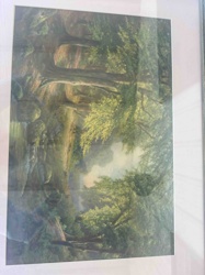 Forest Landscape Print