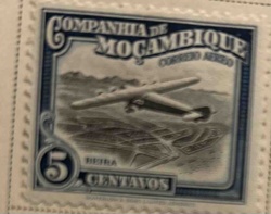 Mozambique Company 5 Centavos Airmail Stamp