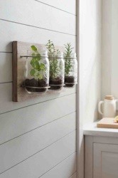 Wall-Mounted Mason Jar Herb Planter