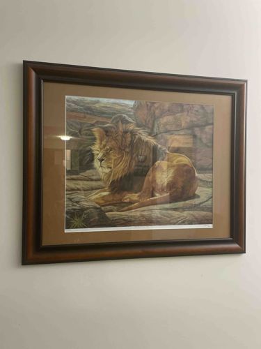 Framed Lion Art Print