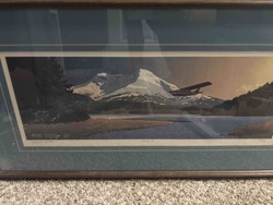 Alaskan Floatplane Mountain Landscape Print