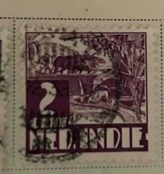 Dutch East Indies 2 1/2 Cent Postage Stamp (Elephant and Rider)
