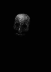 Grayscale 'Skull-like' Digital Illustration