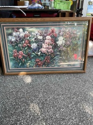 Framed Print of Iris Garden