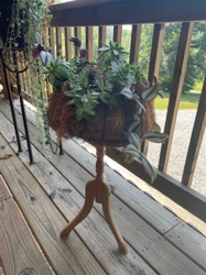 Succulent Floor Planter with Wooden Pedestal Stand