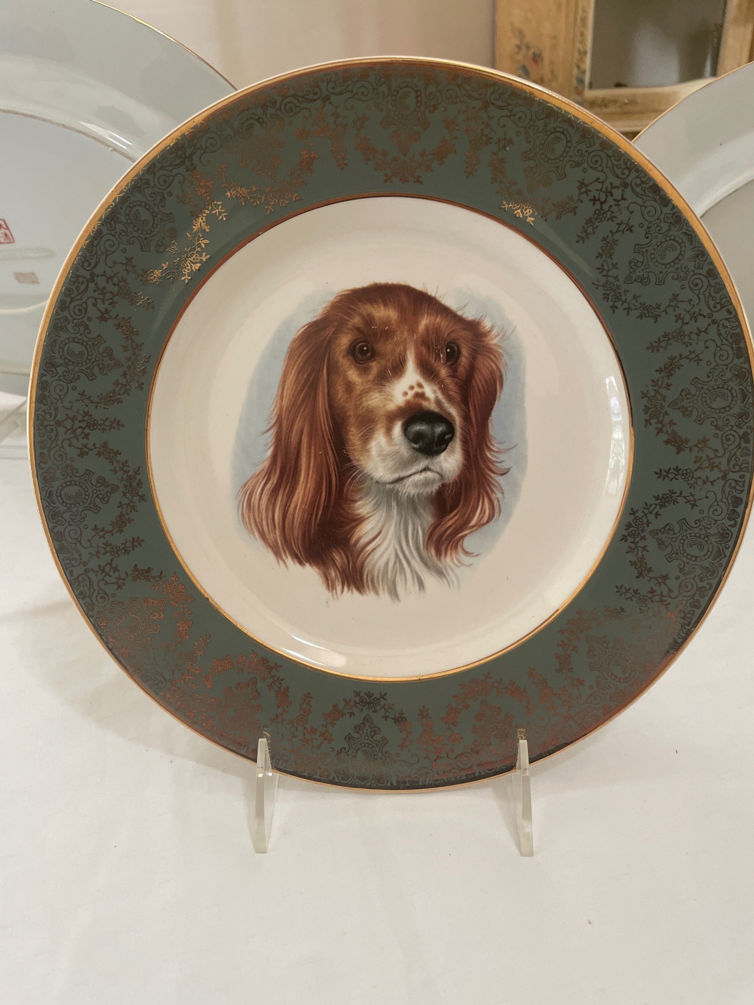 Submitted photo of Hand-painted porcelain decorative plate featuring an Irish Setter