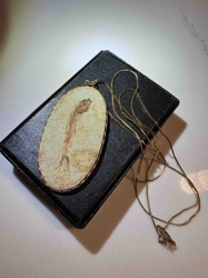 Fossil Fish Pendant Necklace