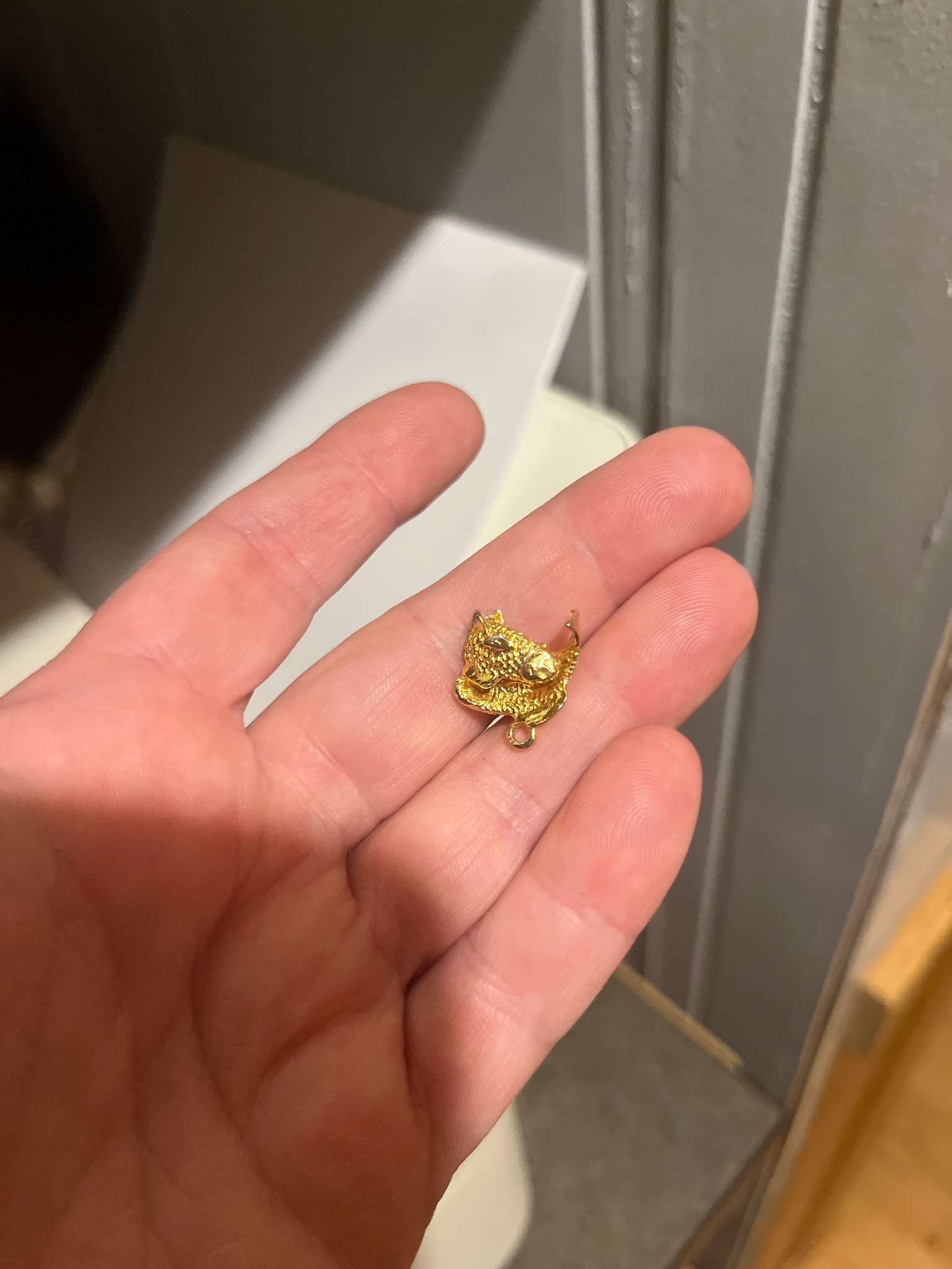Submitted photo of Gold pig charm (not authenticated)
