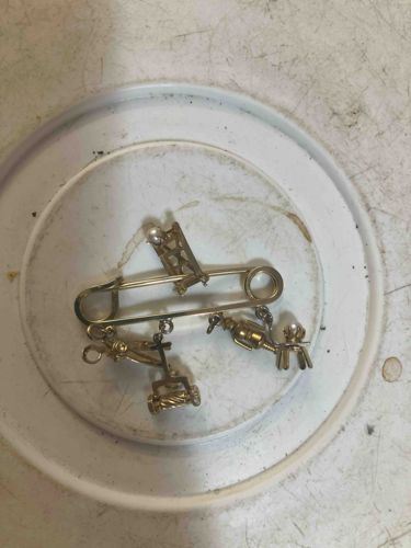 Novelty Pin with Charms