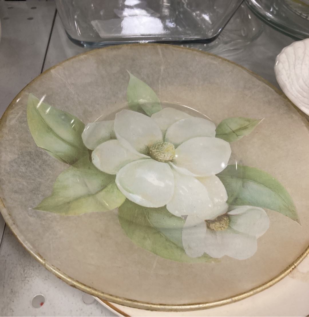 Submitted photo of Painted shell decorative plate