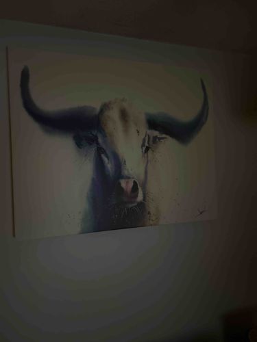 Abstract Longhorn Bull Horns Wall Art Canvas Print