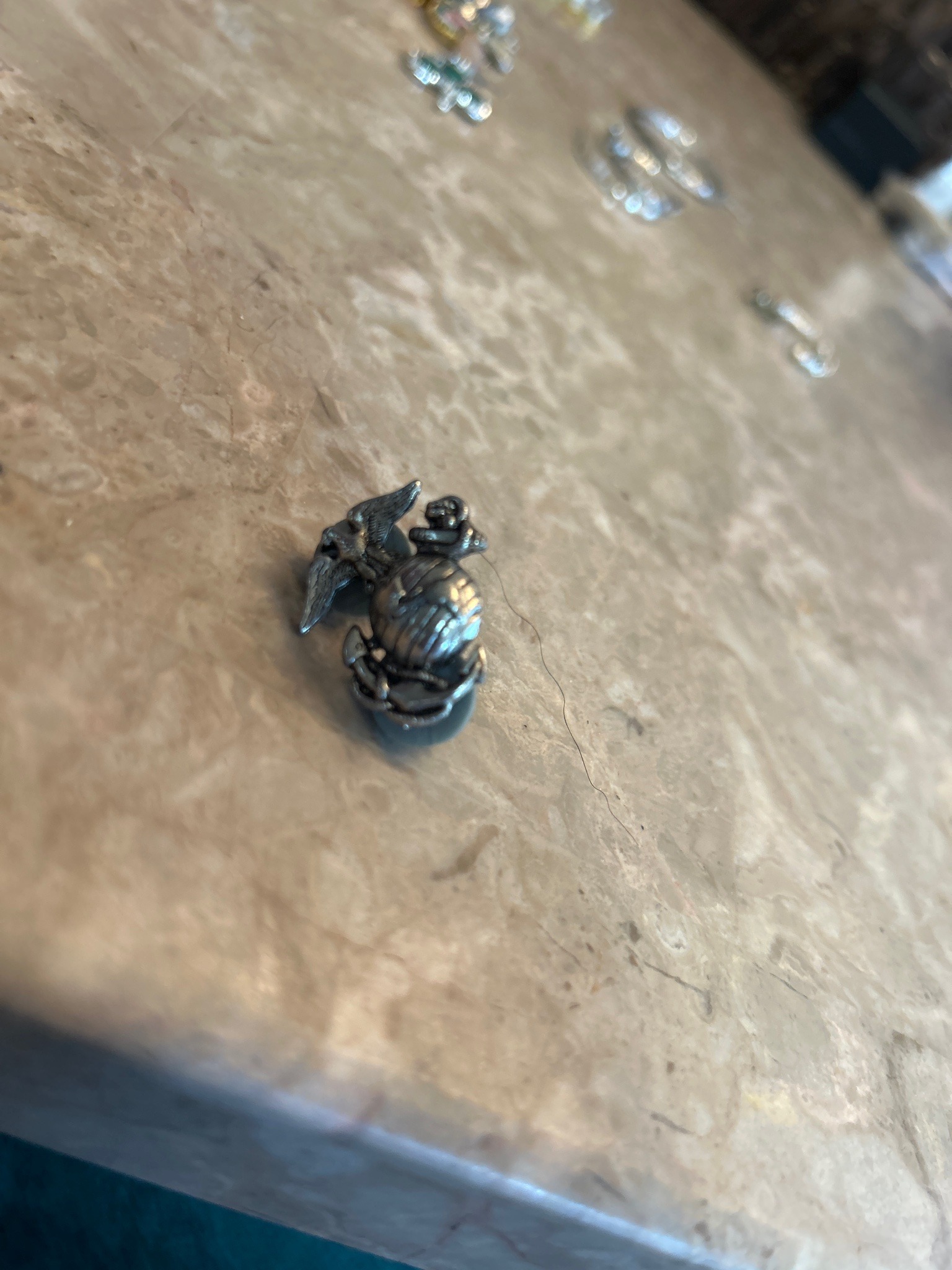 Submitted photo of United States Marine Corps Eagle, Globe, and Anchor lapel pin (unauthenticated)