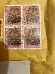 Block of Four 1976 Helvetia Pro Juventute Stamps (Elderberry Motif)