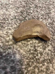 Prehistoric Stone Tool Fragment (Scraper/Flake)