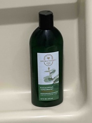 Bath & Body Works Aromatherapy Eucalyptus Spearmint Moisturizing Shampoo