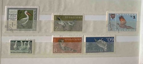 Vintage Bulgarian Bird Thematic Postage Stamp Collection