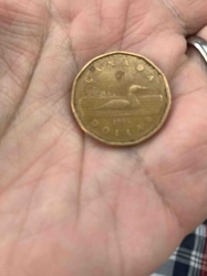 Canadian 1 Dollar "Loonie" Coin, 1993