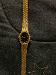 Oval-faced Ladies' Gold-Tone Dress Watch with Gemstone Bezel