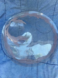 Clear Glass Plate with Frosted Laurel Wreath Design