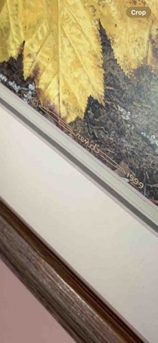 Autumn Leaves Art Print signed "rends" dated 1999