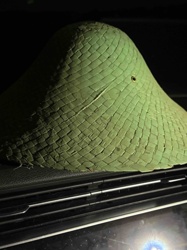 Green Woven Straw Conical Hat